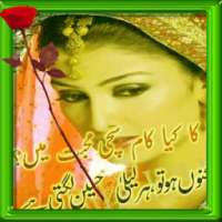 Love Urdu Latest poetry