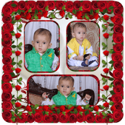 Rose Flower Photo College أيقونة