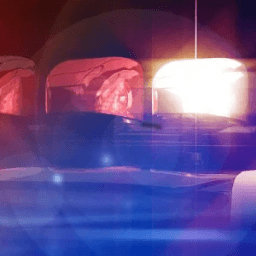 Police Lights أيقونة