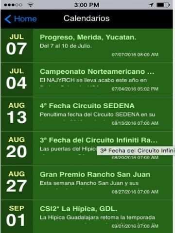 FEM App screenshot 1