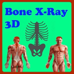Bone with X-Ray иконка