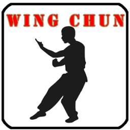 Wing Chun Training