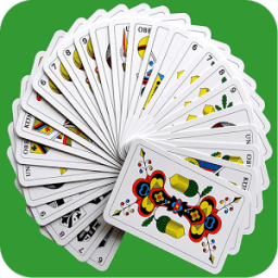 Карточные игры icon