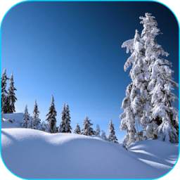 Winter Landscapes Live Wallpaper 1.0