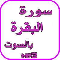 سورة البقرة بصوت جميع القرائ on 9Apps