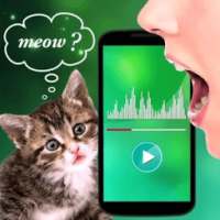 Translator for Cats Prank