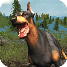 Dog Survive In Wild Plain icon