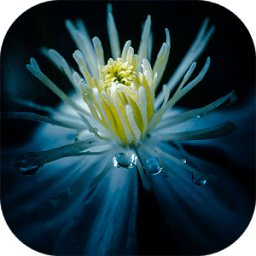 OS 9 Lock screen theme أيقونة