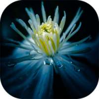 OS 9 Lock screen theme