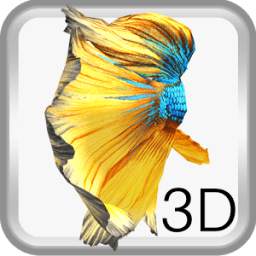 Betta Fish 3D Free