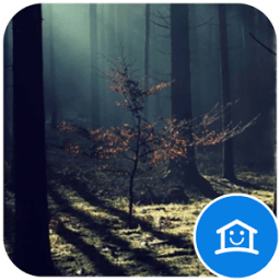 Mysterious Peaceful Forest icon