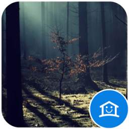 Black Forest 2.0