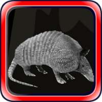 Escape games zone 69