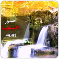 صور طبيعة و ورود جميلة - متجدد on 9Apps