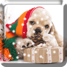 Christmas Dog Live Wallpaper icon