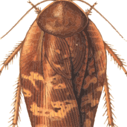 Live insects wallpaper आइकन