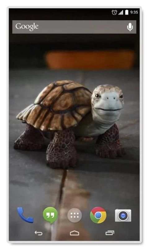 Talking Turtle Live Wallpaper 1 تصوير الشاشة