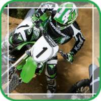 The Motorcycle Racing Driver