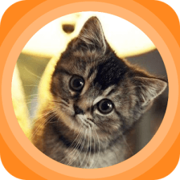 The Lovely CatCat icon