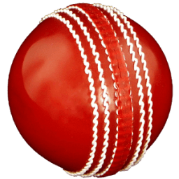 ikon Cricket Coaching Tutorials