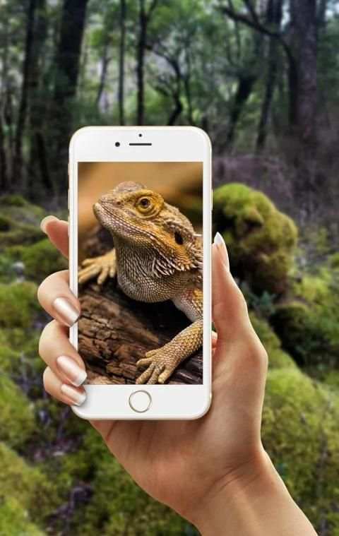 mega camera zoom in+ 2 تصوير الشاشة
