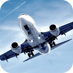 Airplane Landing LWP icon