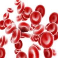 علاج فقر الدم on 9Apps