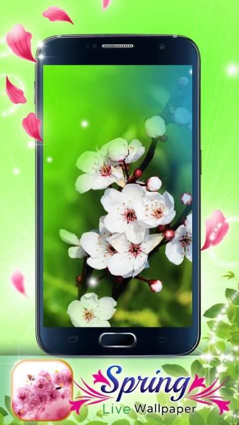 Spring Live Wallpaper screenshot 2