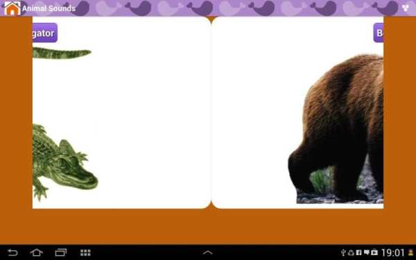 Animal Sounds & Talking Parrot screenshot 3