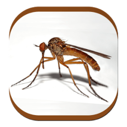 Mosquito Sounds أيقونة