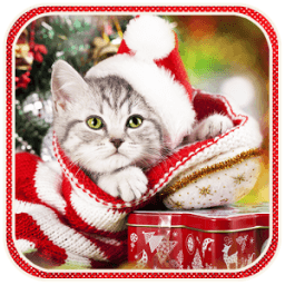 Christmas Cat live wallpaper icon