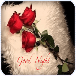 ikon Good Night SMS &amp; Images