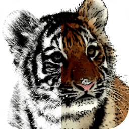 Sketch &amp; Toon icon