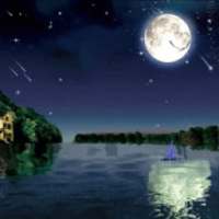 Lake Night Sky Live Wallpaper on 9Apps