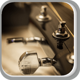 ikon The Brown Guitar