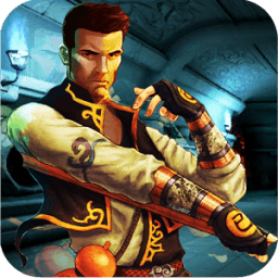 ikon Shadow Ninja Fury 3D