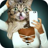Cat Scanner Pro Face Prank