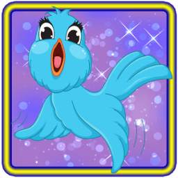 Olimo Bird 1.1