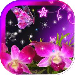 Beautiful Orchids LWP 1.0