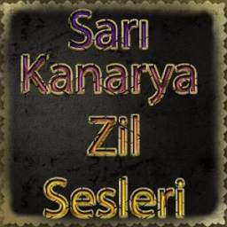 Sarı Kanarya Marş Zil Sesleri