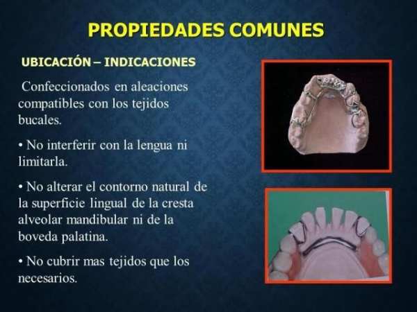 PPR - Conectores Mayores скриншот 2