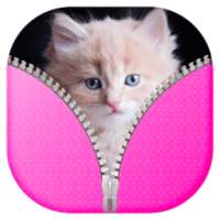 Cute Kitty Zipper Lock Screen