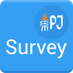 ikon Survey IPJ