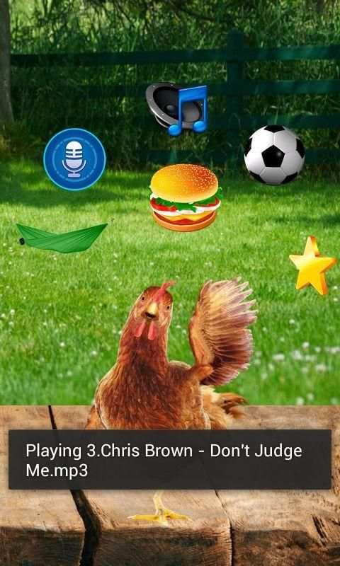 Real Talking Chicken screenshot 2
