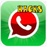 Whatsapp Hacker