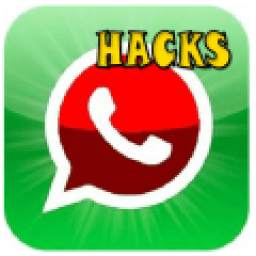 Whatsapp Hacker 6.0