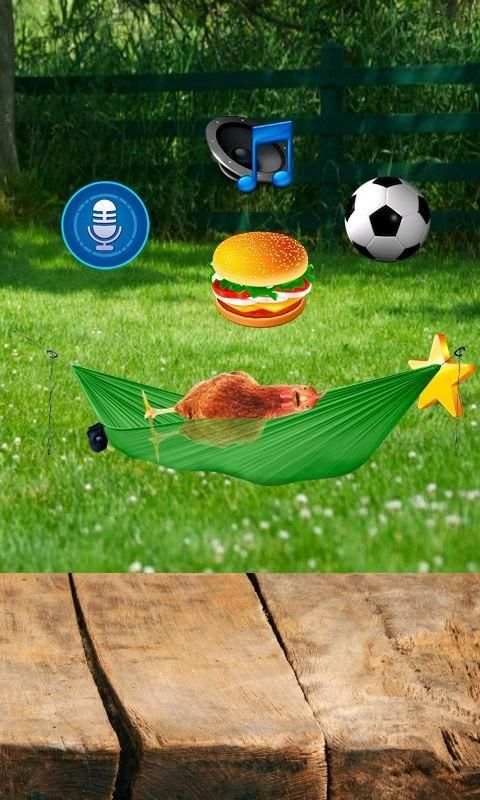 Real Talking Chicken screenshot 3