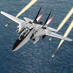 F14 Plane Driving 1.1