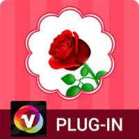 Valentine's Rose for Venus on 9Apps