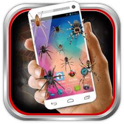 Spider Prank 1.0.5